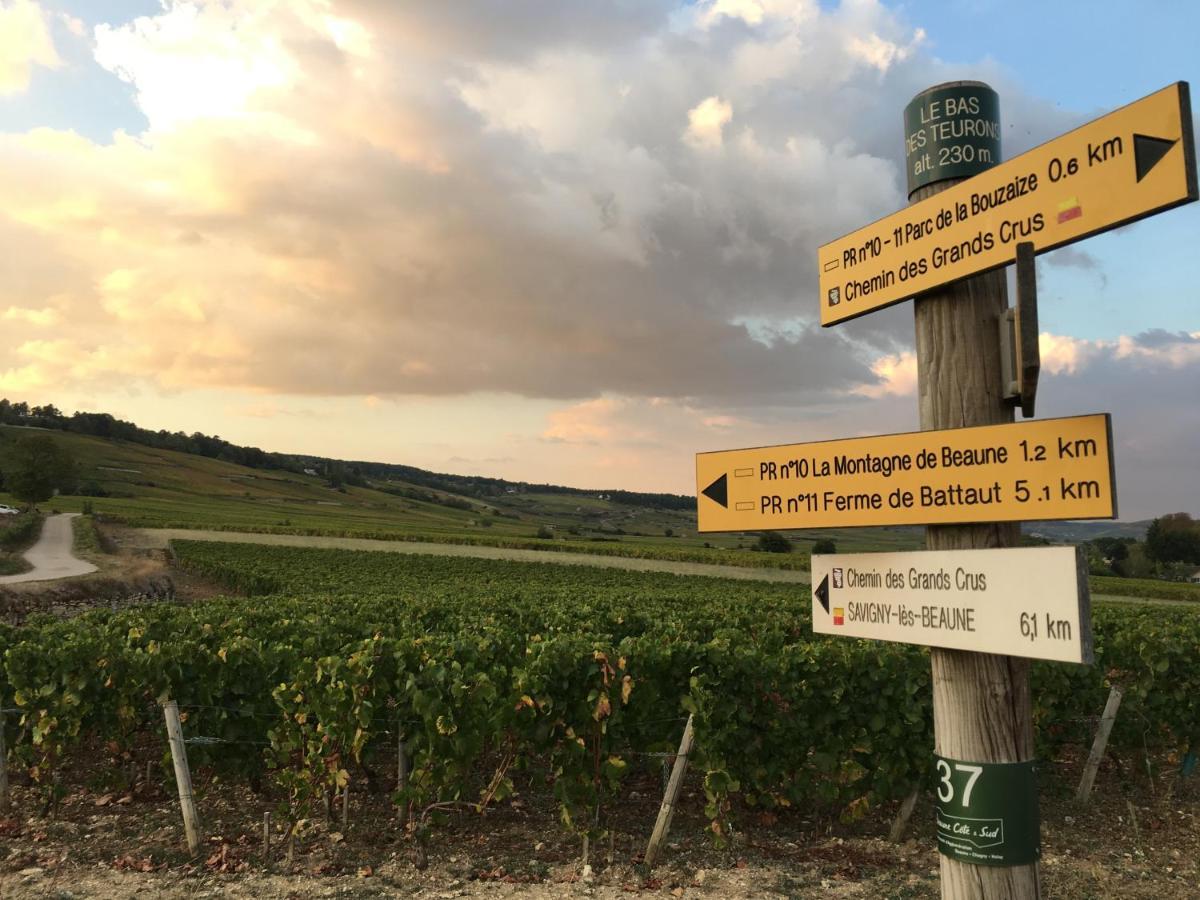 Le Gite De Tassigny Meursault Exterior foto